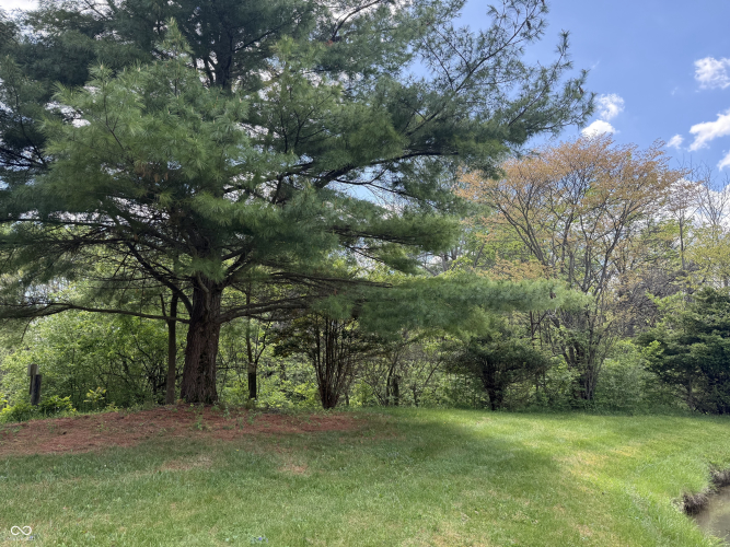 Listing Image 35