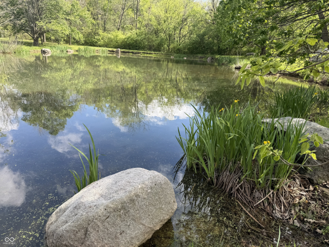 Listing Image 41
