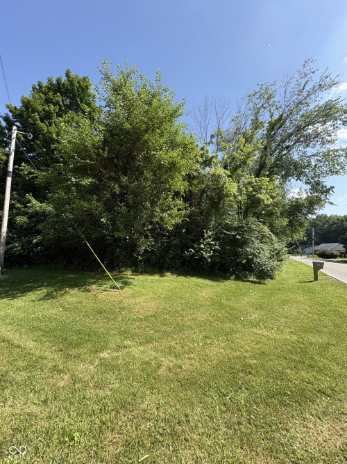 Listing Image 4