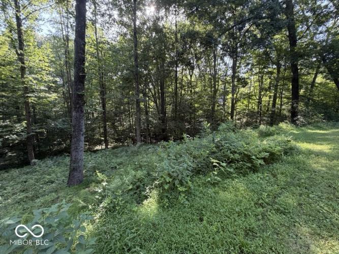 Listing Image 64