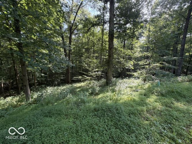 Listing Image 66