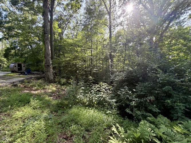 Listing Image 67