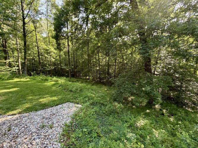 Listing Image 68