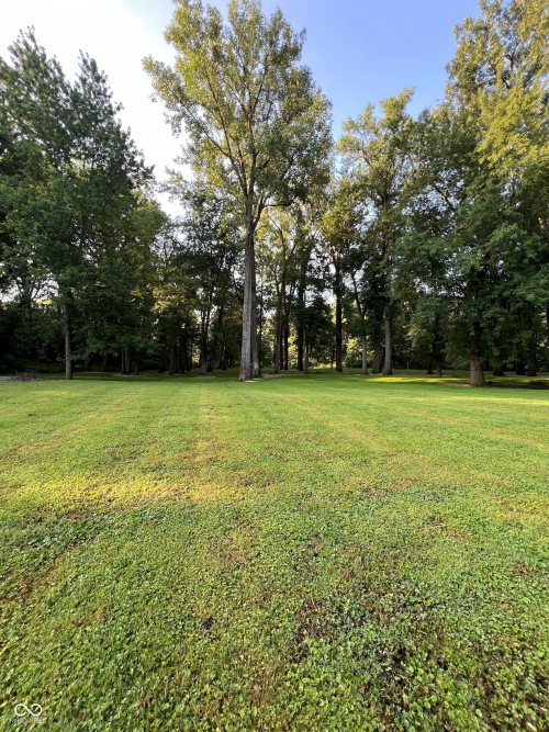 Listing Image 24