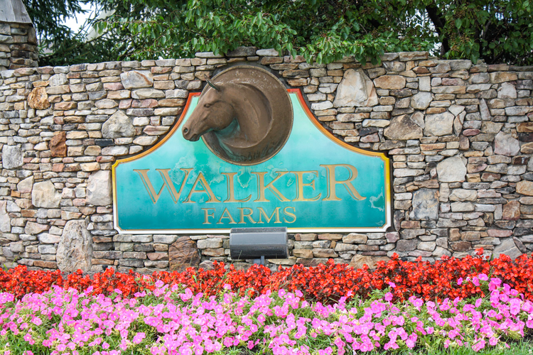 Walker Farms Homes For Sale Whitestown, IN
