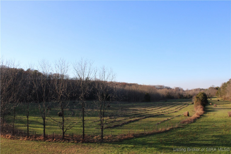 Listing Image 22