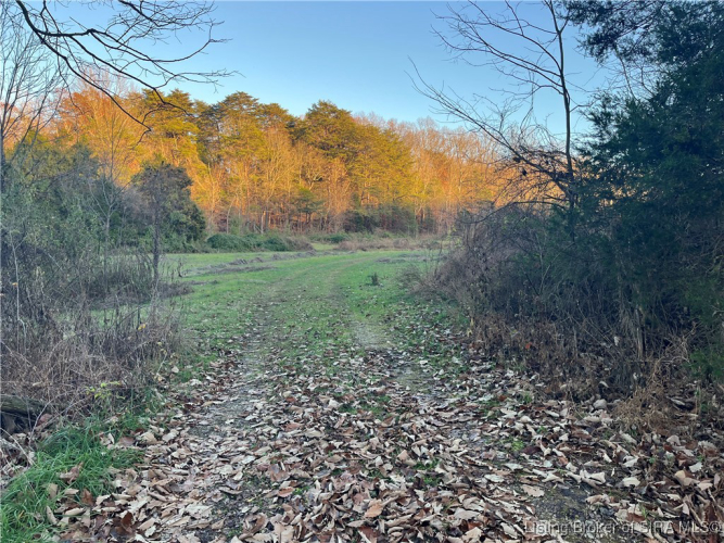 Listing Image 24