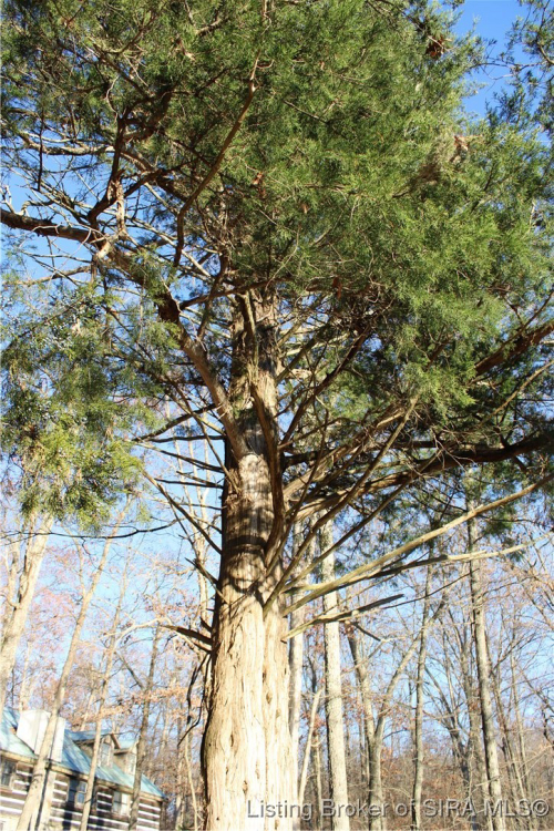 Listing Image 32