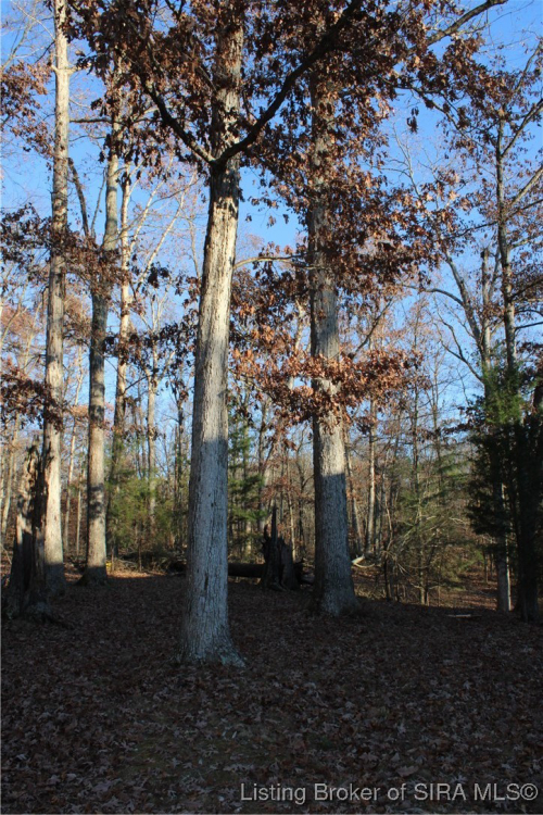 Listing Image 35