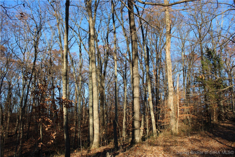 Listing Image 37
