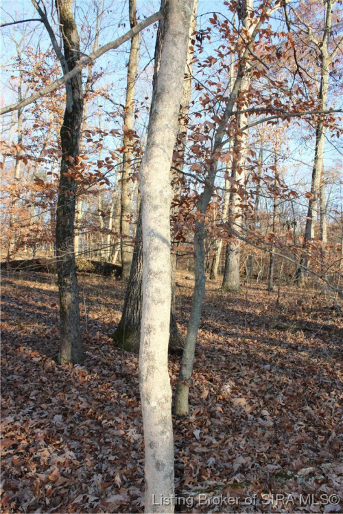 Listing Image 38