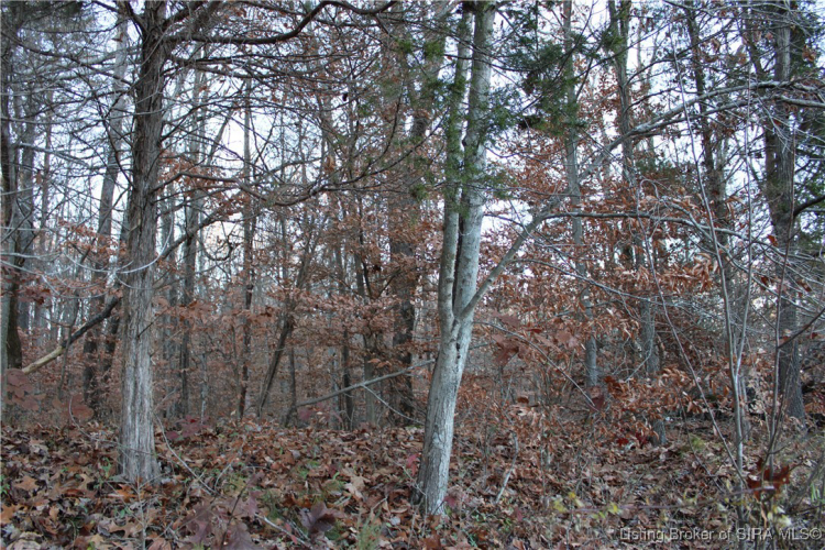 Listing Image 39