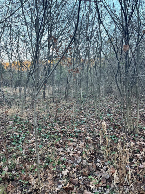 Listing Image 49