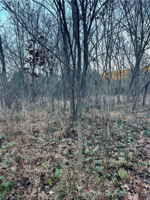Listing Image 50