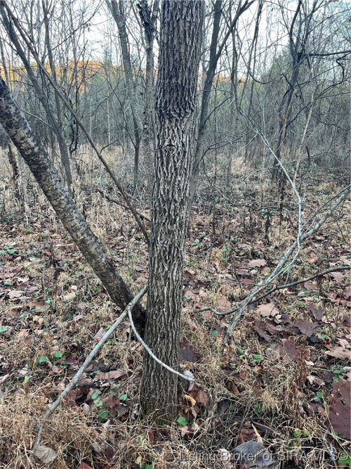 Listing Image 51