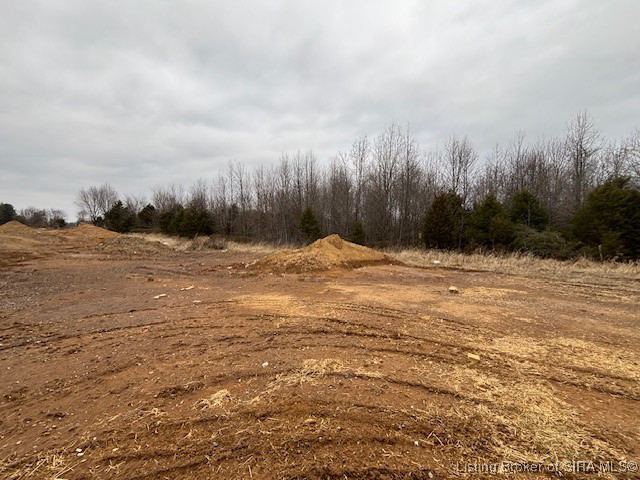 Listing Image 29