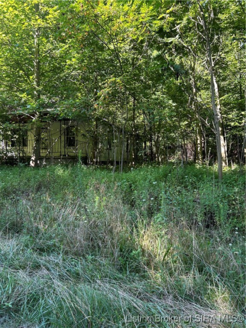 Listing Image 5