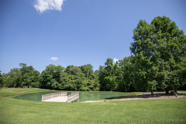 Listing Image 52