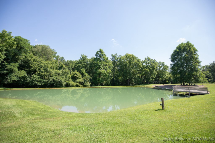 Listing Image 54