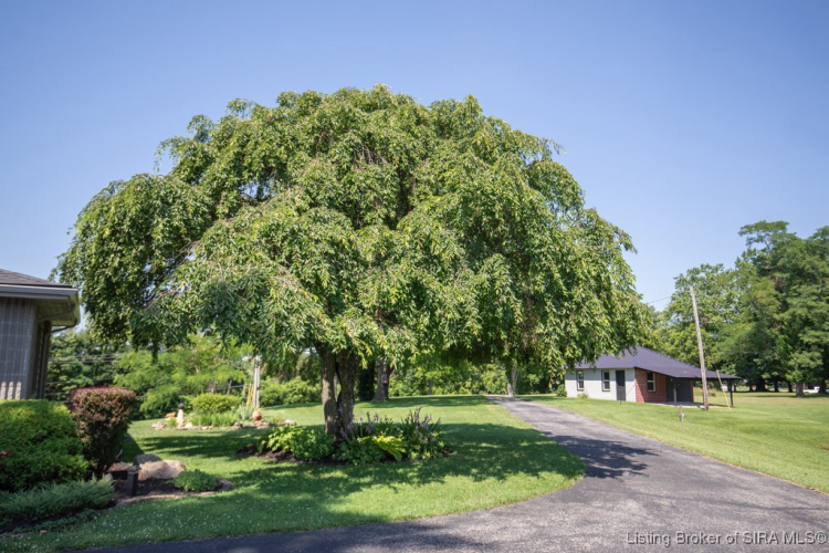 Listing Image 55