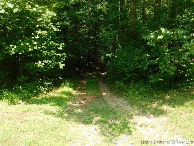 Listing Image 23