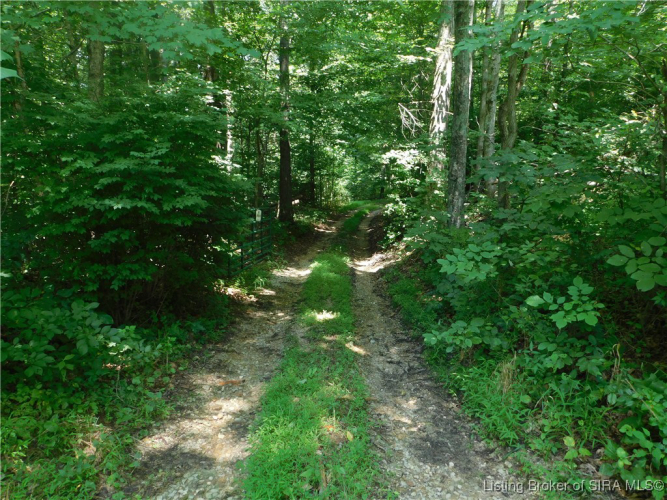 Listing Image 24