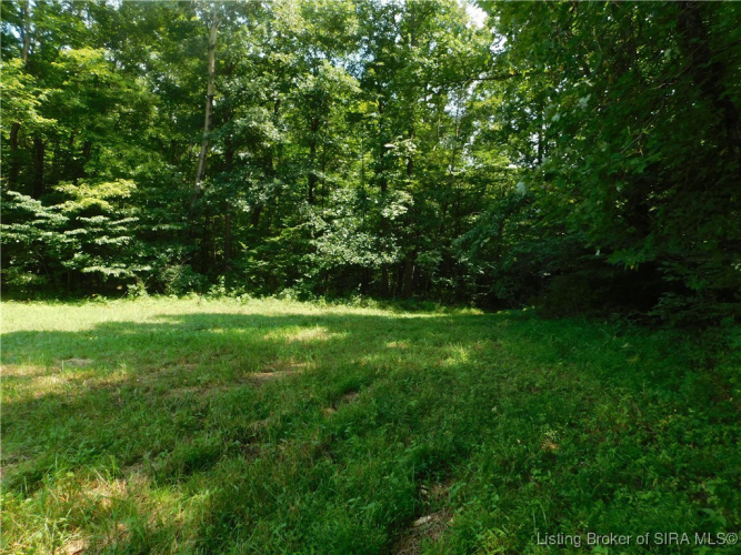 Listing Image 26