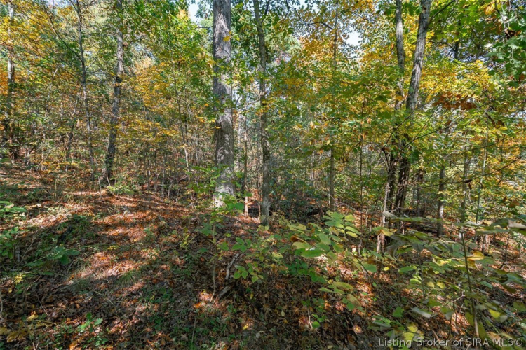 Medium Water Features 200 Block 6279 Acres Broeker Lane New Albany IN 47150 (House For Sale ...