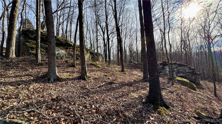 Listing Image 27