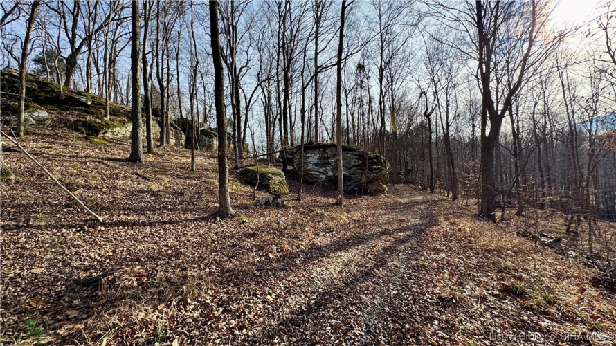 Listing Image 28