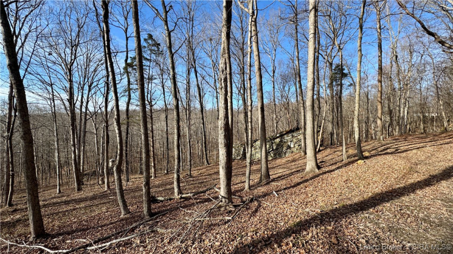 Listing Image 29