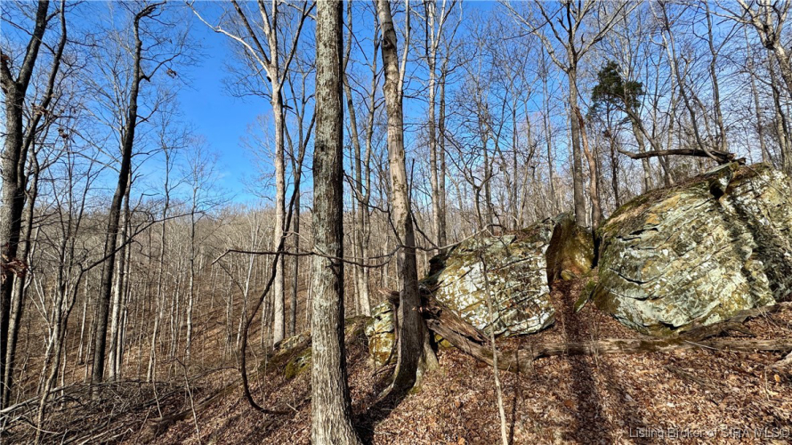 Listing Image 31