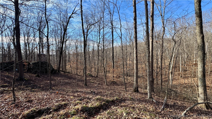 Listing Image 32