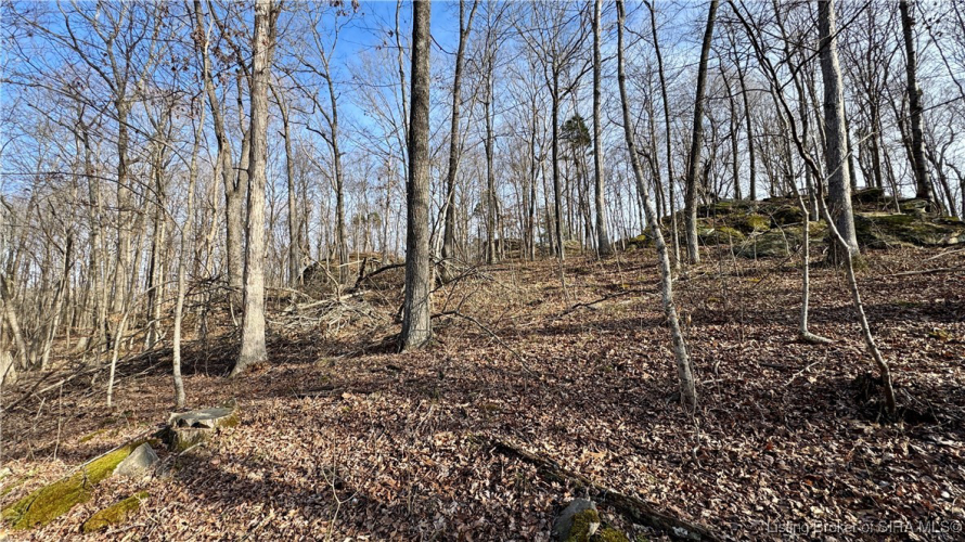 Listing Image 33