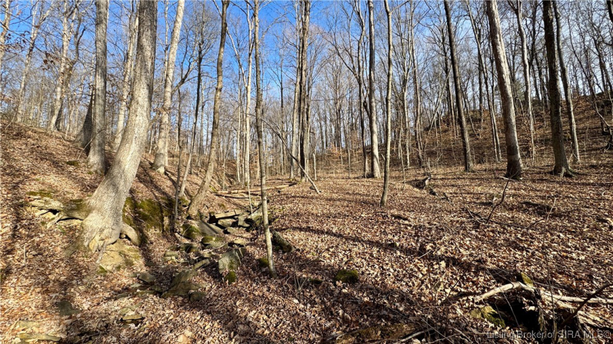 Listing Image 34
