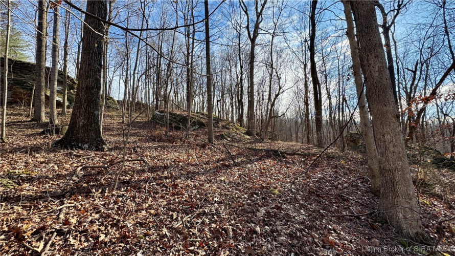 Listing Image 36