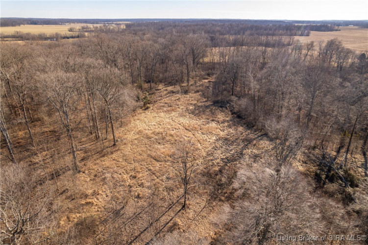 Listing Image 40
