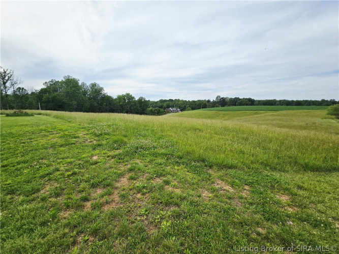 Listing Image 44