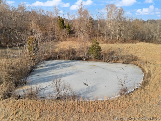 Listing Image 11