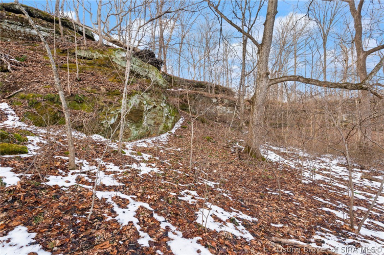 Listing Image 21