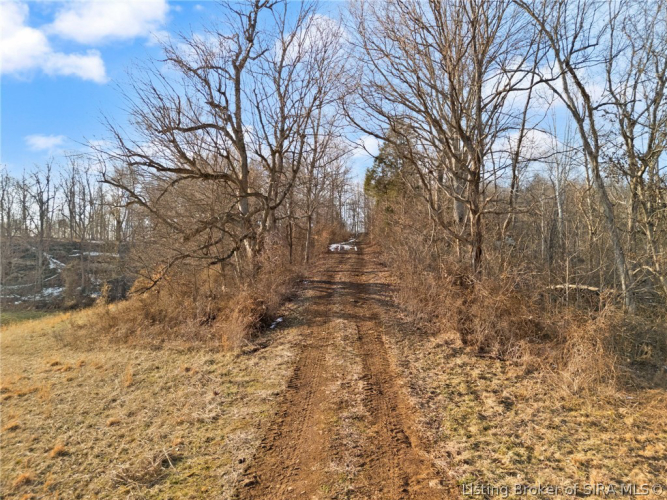 Listing Image 52