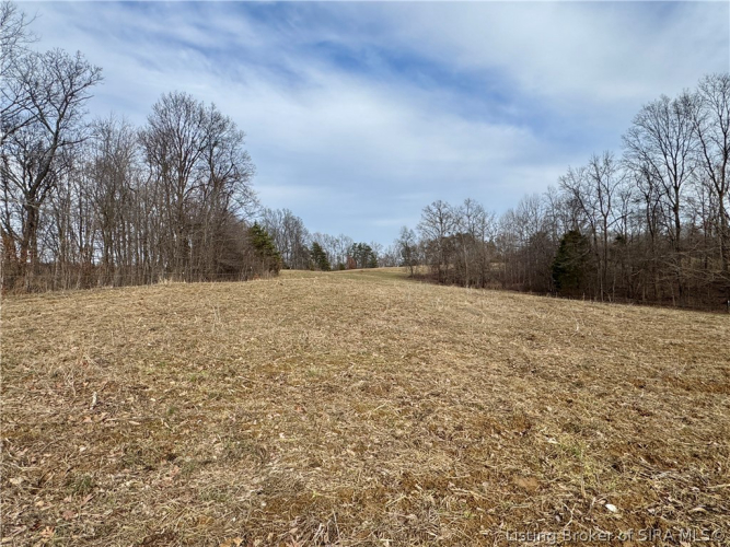 Listing Image 42