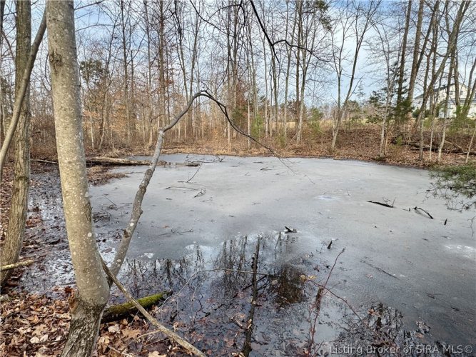 Listing Image 43