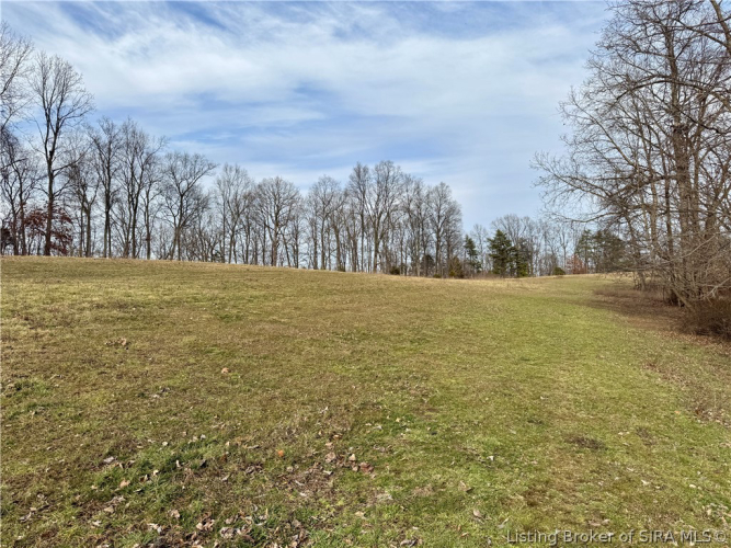 Listing Image 45
