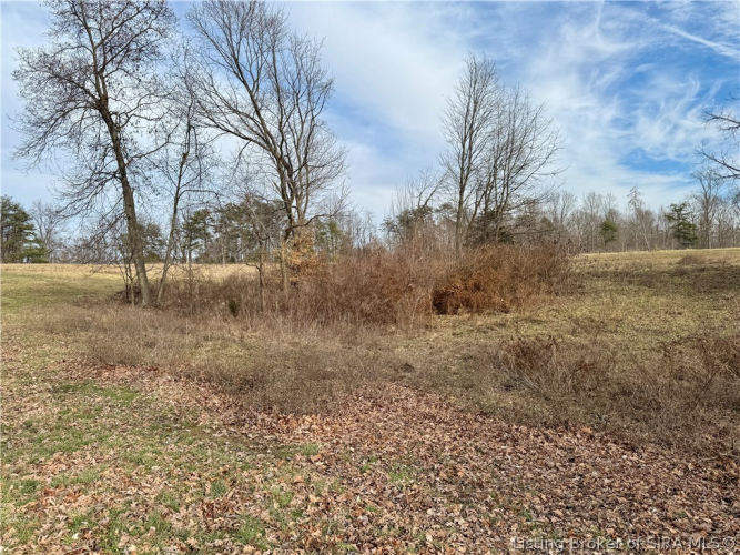Listing Image 46