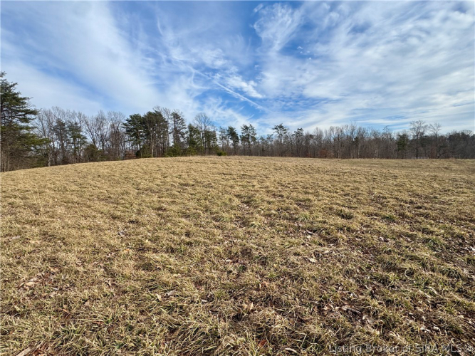 Listing Image 48