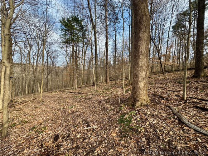 Listing Image 51