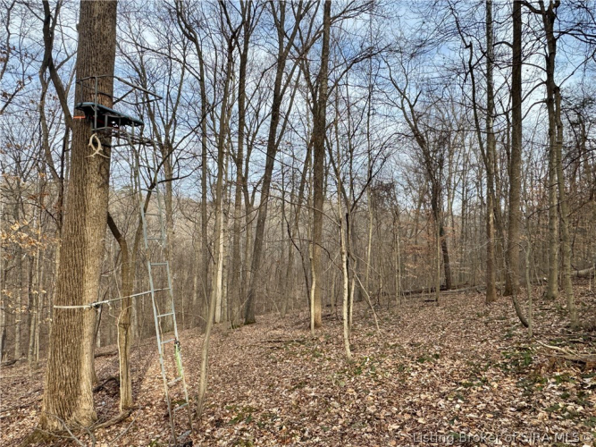 Listing Image 52