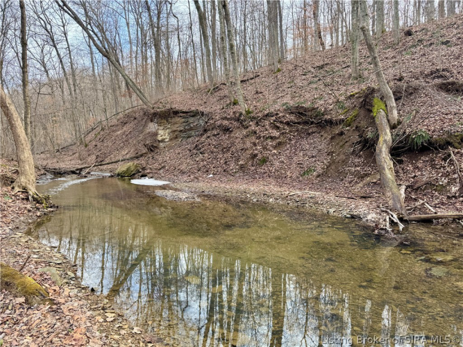 Listing Image 54