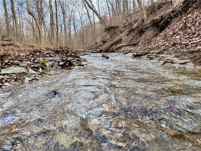 Listing Image 55